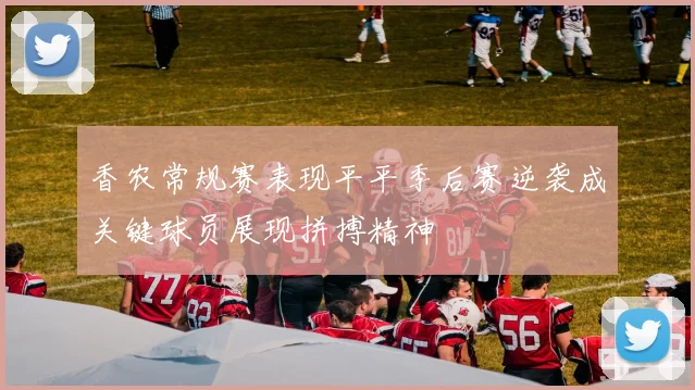 香农常规赛表现平平季后赛逆袭成关键球员展现拼搏精神